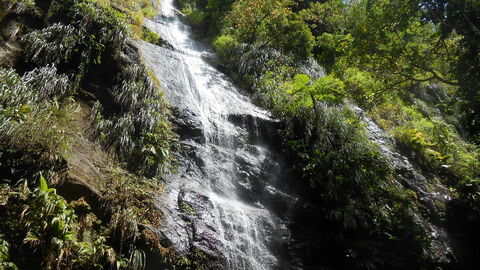 La côte Caraïbes, protégée des alizées, offre des paysages de pentes boisées et irriguées par ravines et rivières.