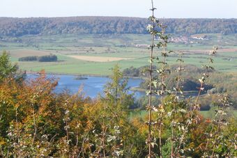 ETANG DE LA PERCHE