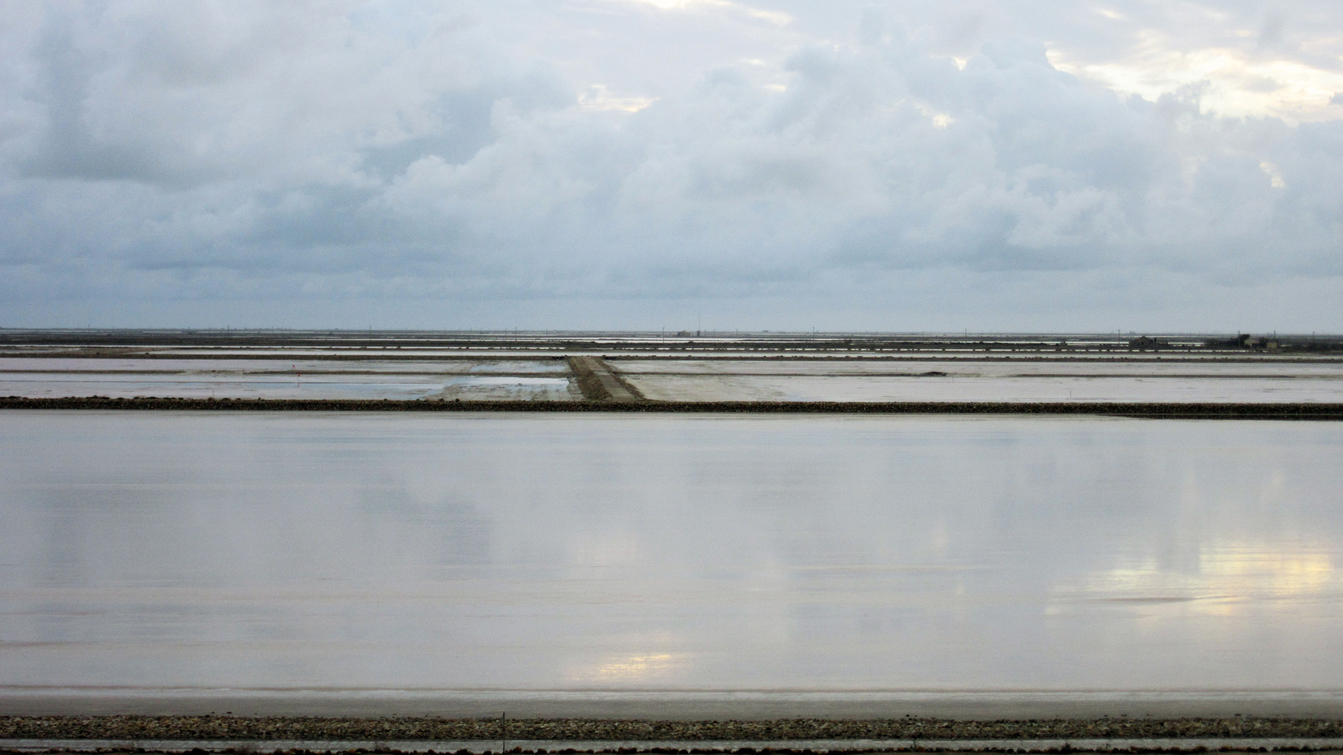 CAMARGUE