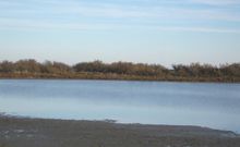 Etang de Vic, renaturation du lido des Aresquiers.