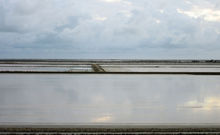 CAMARGUE