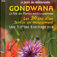 GONDWANA, la Fête des Plantes méditerranéennes au Domaine du Rayol : les 30 ans d’un Jardin en mouvement ! 