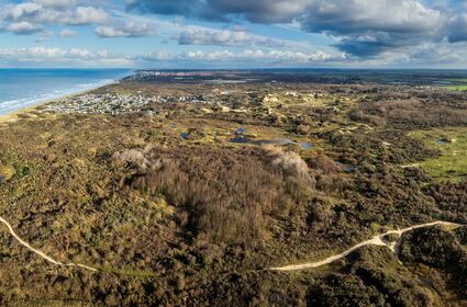 Le programme européen Clim@Dunes : vers des dunes flamandes résilientes face au changement climatique