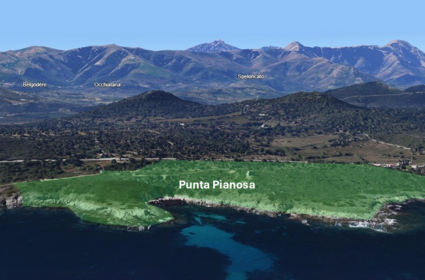 Appel à candidature pour l'installation d'une activité agricole sur le site Losari, secteur de Punta pianosa - Commune d'Occhiatana