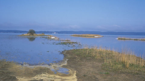 Entre Hourtin-plage et le Cap-Ferret, des dunes et de vastes étangs