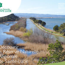 Venez découvrir la Réserve naturelle régionale de Sainte-Lucie