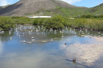 ETANG DE LA BARRIERE