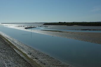 MARAIS DU MULLEMBOURG