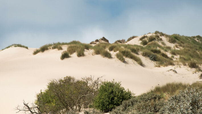 Dune de la Slack