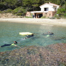 A la découverte du Jardin marin au Domaine du Rayol