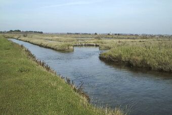 MARAIS D'OLONNE