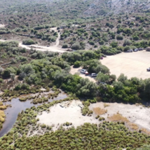Plan de relance - Plage de Saleccia 