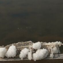 Programme des Salins d’Hyères de juillet - août 2025