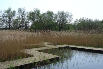 MARAIS DU VIGUEIRAT