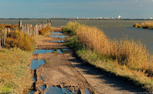 BASSIN DE L'OR