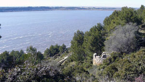 De belles ambiances de forêt et de garrigue méditerranéenne sur les plateaux et les collines