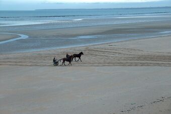 UTAH BEACH