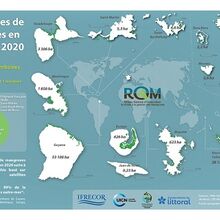 Journée internationale des mangroves : publication d'une nouvelle cartographie des mangroves.