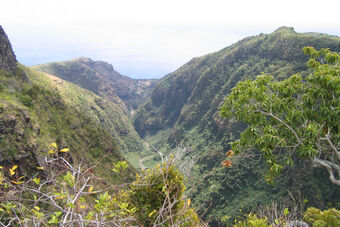 GRANDE CHALOUPE - RAVINE A MALHEUR