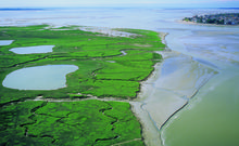 BAIE ET VALLEES DE LA SOMME