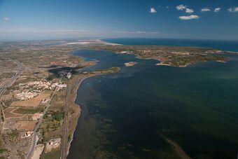 ETANG DE SALSES