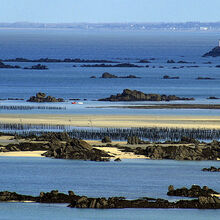 Les îlots granitiques de Chausey, émergeant à la surface de l’eau selon une même orientation nord-ouest/sud-ouest.