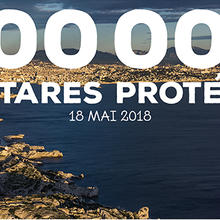 200 000 hectares protégés : le Conservatoire du littoral franchit le cap !