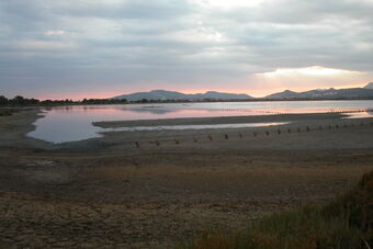 LES VIEUX SALINS