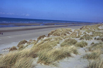 DUNE DU PERROQUET