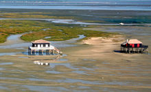 BASSIN D'ARCACHON