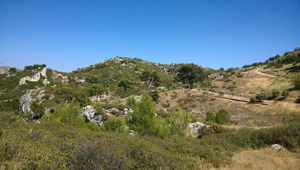 Un cœur de massif âpre et minéral, couvert de garrigue