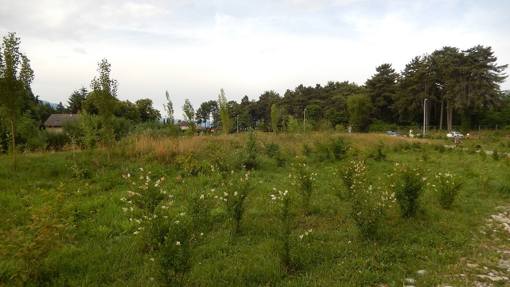 Parc des Dranse