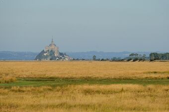 POLDER LITTORAL DE LA BAIE DU MONT SAINT MICHEL