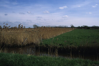 MARAIS DE SAINT-AUGUSTIN