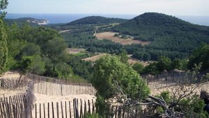 De Saint-Cyr-sur-Mer à Bandol : une fenêtre naturelle et agricole préservée 