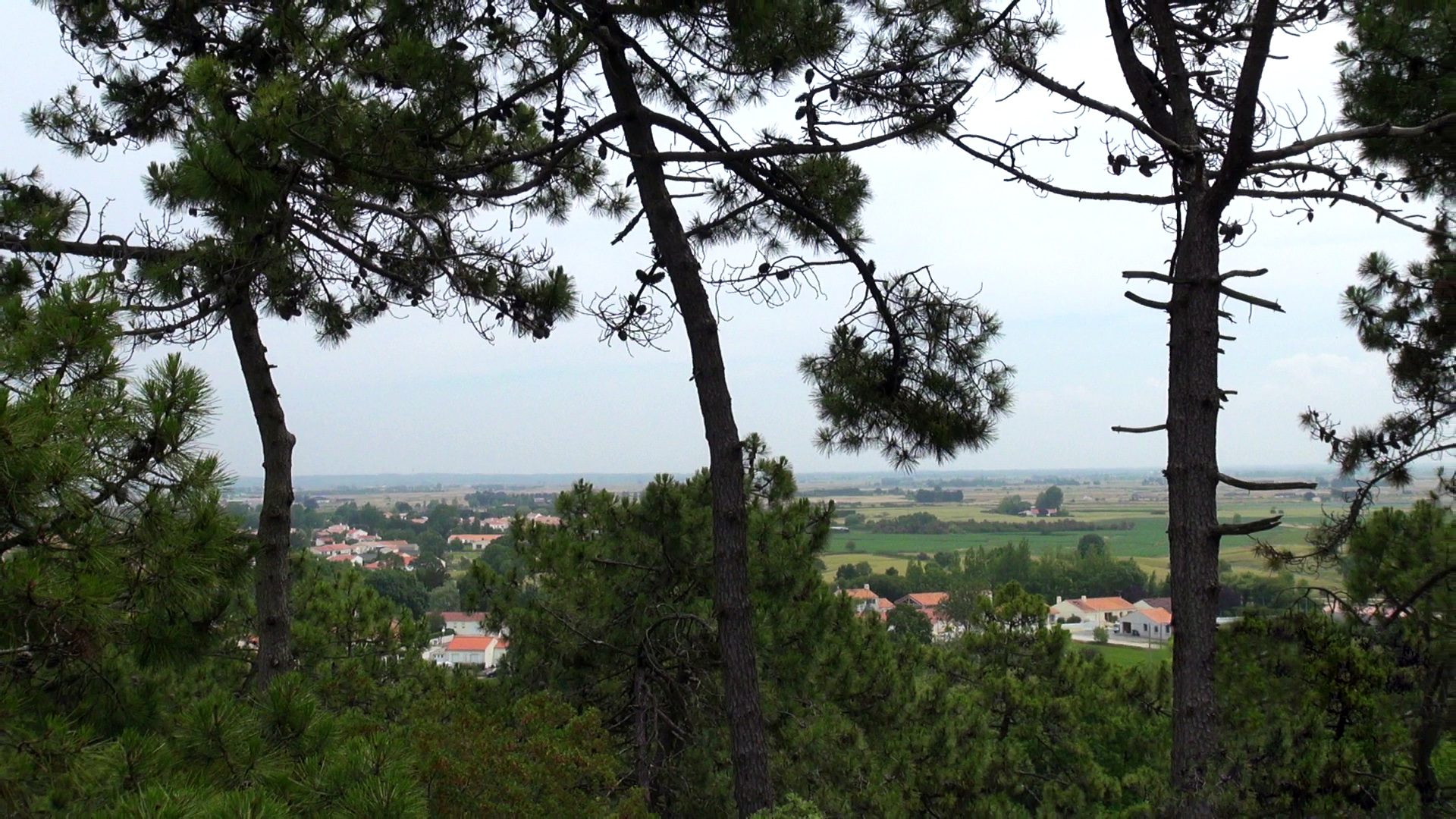 DUNES ET MARAIS DE MONTS