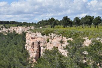 PLATEAU DE VITROLLES