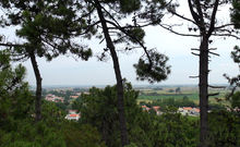 DUNES ET MARAIS DE MONTS