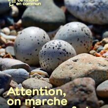 Attention, on marche sur des oeufs !